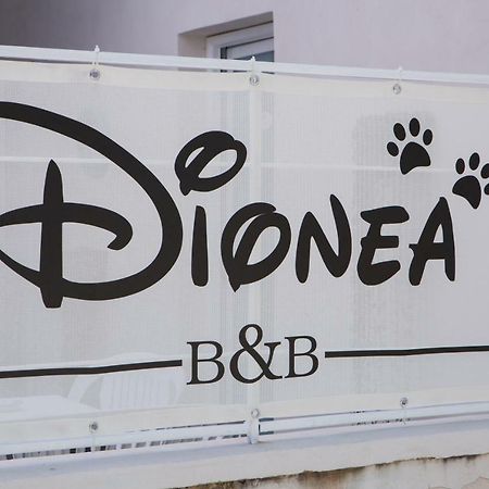 B&B Dionea Santa Maria di Castellabate Kültér fotó
